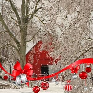 Meet your Posher, Gwen